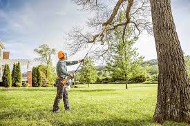 How Our Tree Care Process Works  in Mchenry, IL